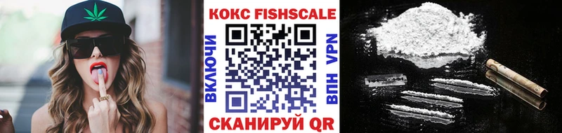 где можно купить   Мосальск  Cocaine FishScale 
